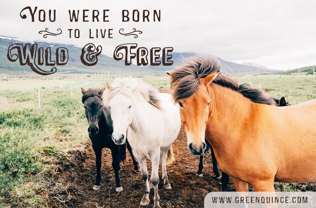 WildandFree